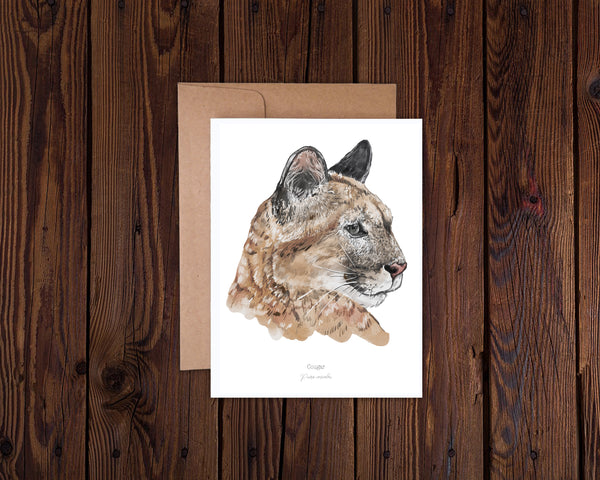 Cougar illustration with scientific description underneath, on a white notecard. 