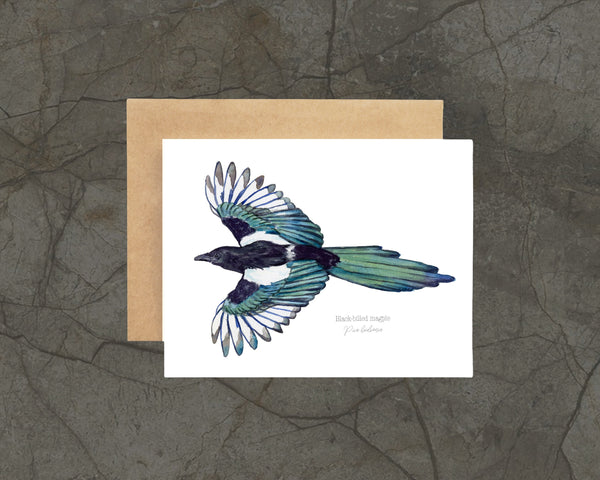 Watercolor Magpie on a white notecard with description and kraft envelope