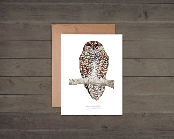 Card with a Mexican Spotted Owl illustration on a wooden surface
