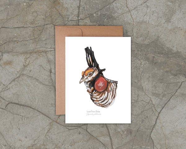 Greeting card with a Prairie Chicken illustration on a stone surface