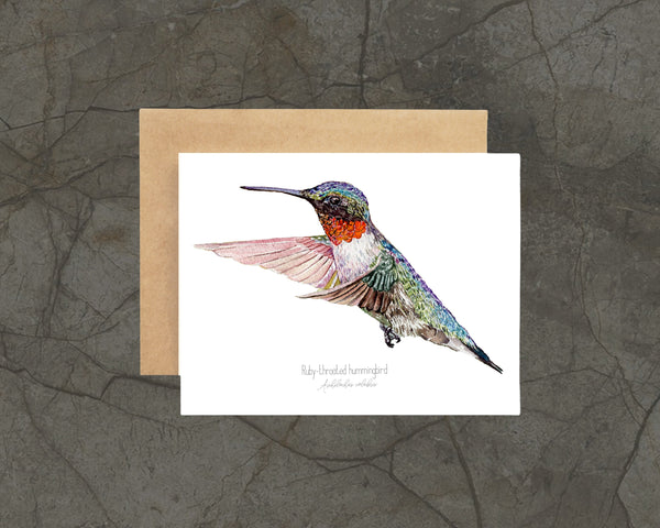 Greeting card with a colorful hummingbird illustration on a textured gray background