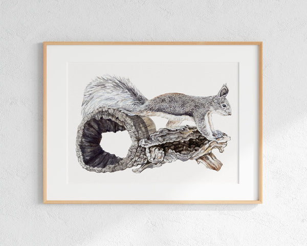 Framed artwork of a squirrel on a branch against a white background