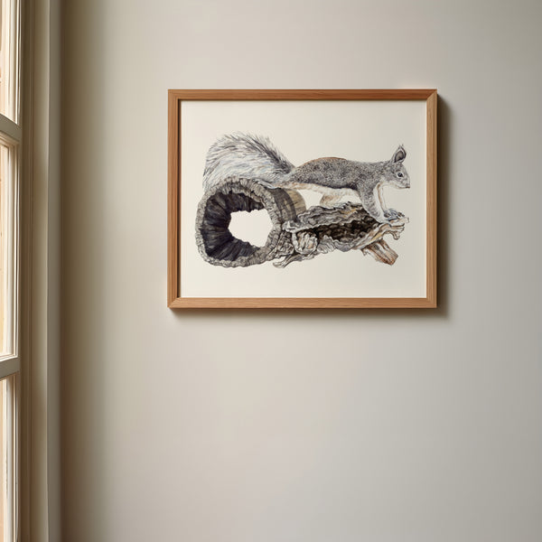 Abert's Squirrel Print