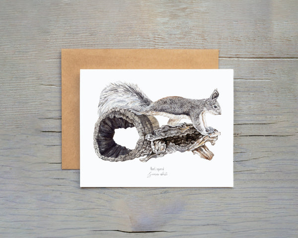 Watercolor Illustration of a Abert Squirrel balancing on wood 