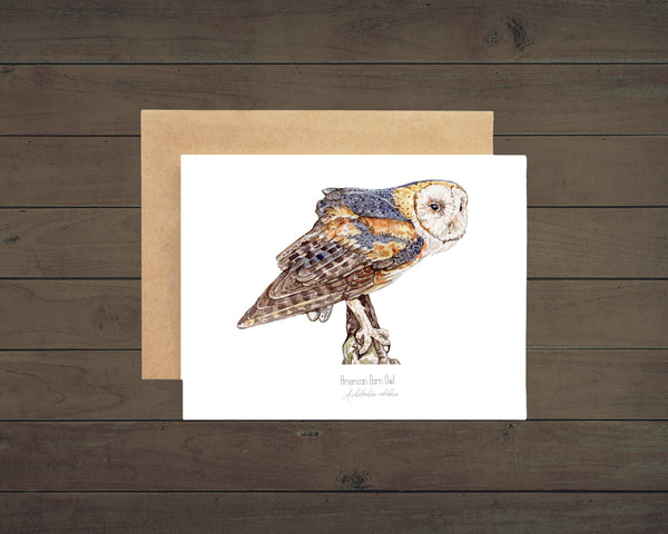 American Barn Owl Illustration on a white notecard