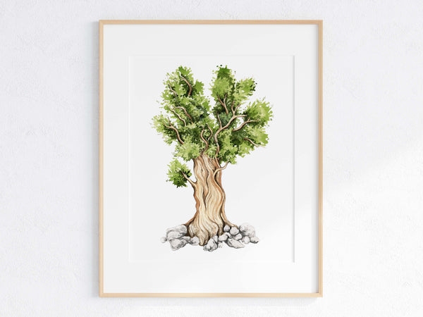 Bristlecone Pine Print