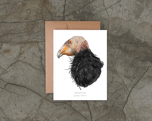 California Condor Illustration on a Notecard