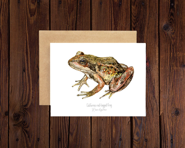 California Red-legged frog illustration notecard