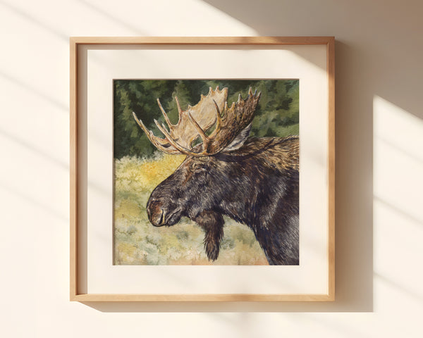 Moose Print