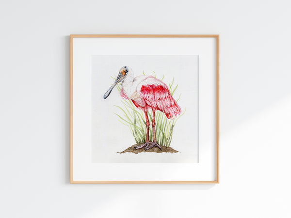 Roseate Spoonbill Print