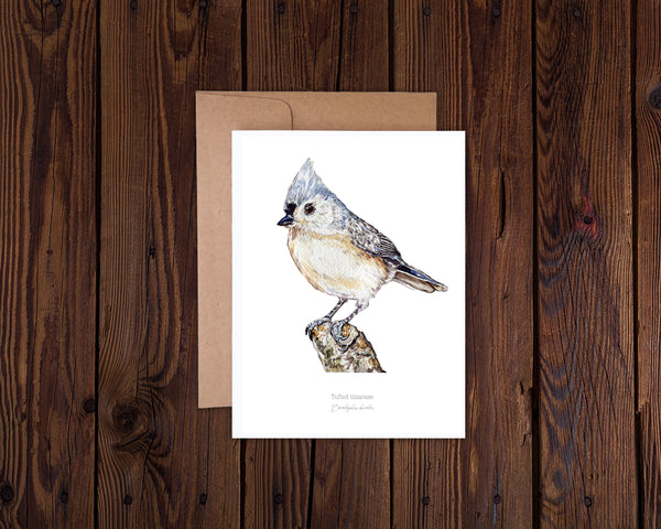 Tufted Titmouse Notecard