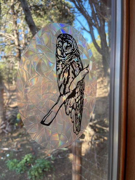 Barred Owl Suncatcher Decal