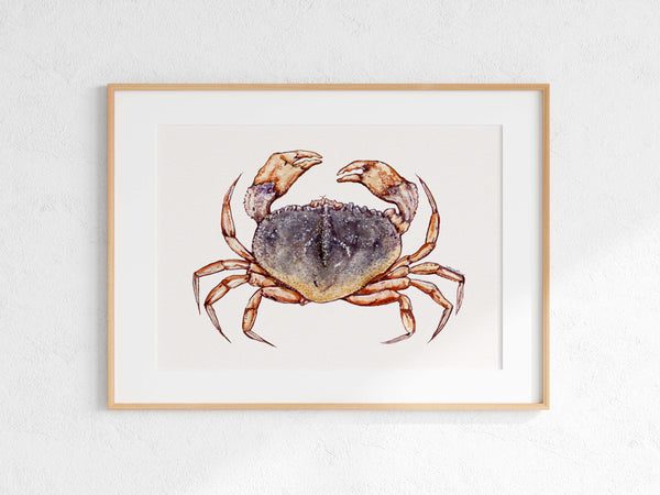 Dungeness Crab Print