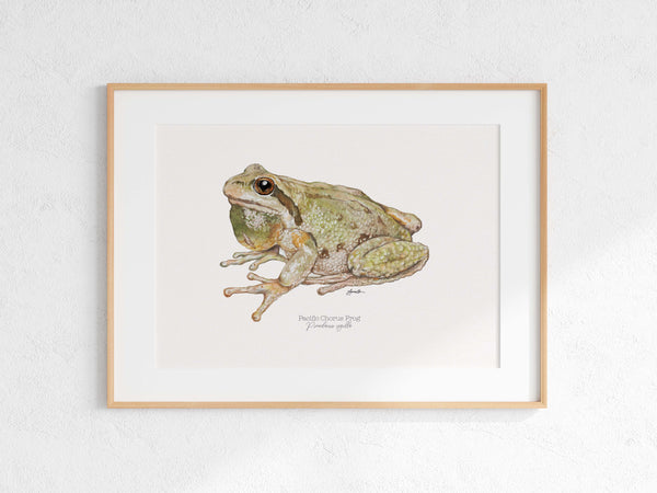 Pacific Chorus Frog Print